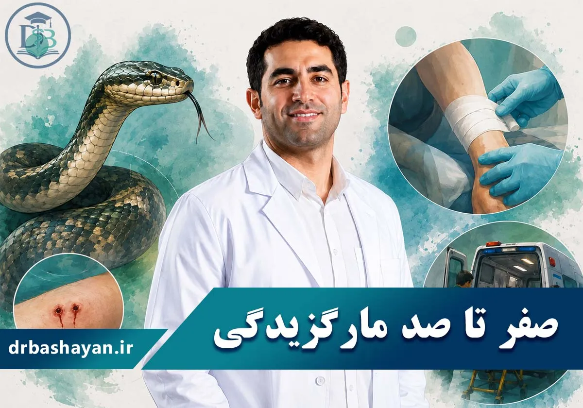 Everything You Need to Know About Snakebites